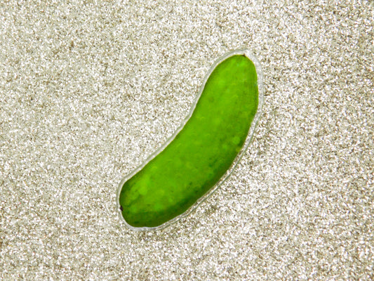Crunchy Pickle Acrylic Pin